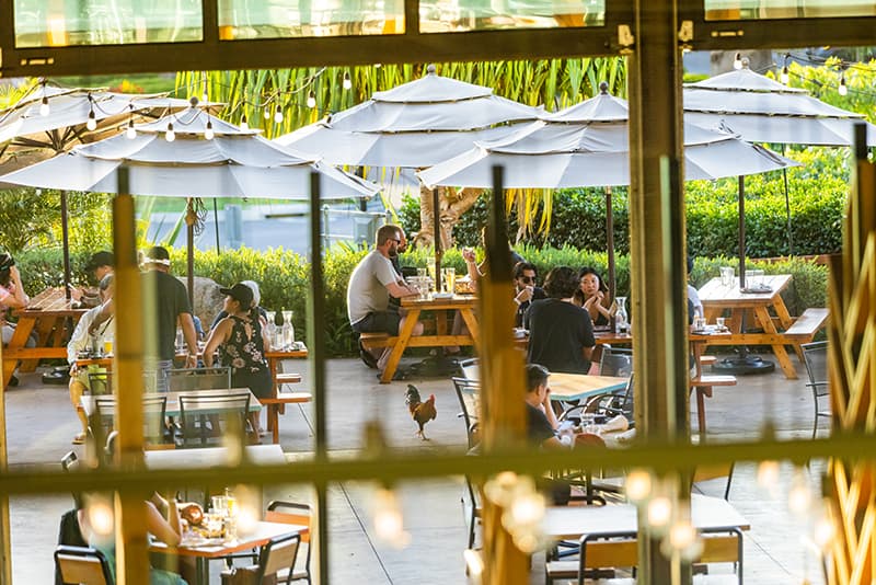 Maui Brewing Company