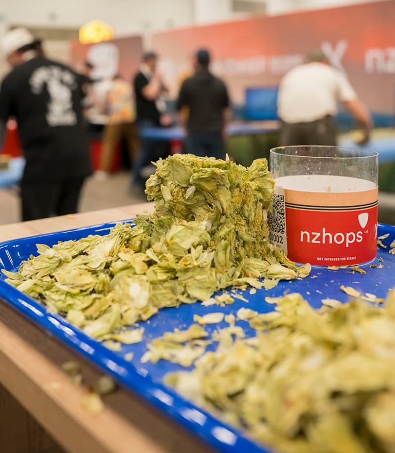 New Zealand hops on table