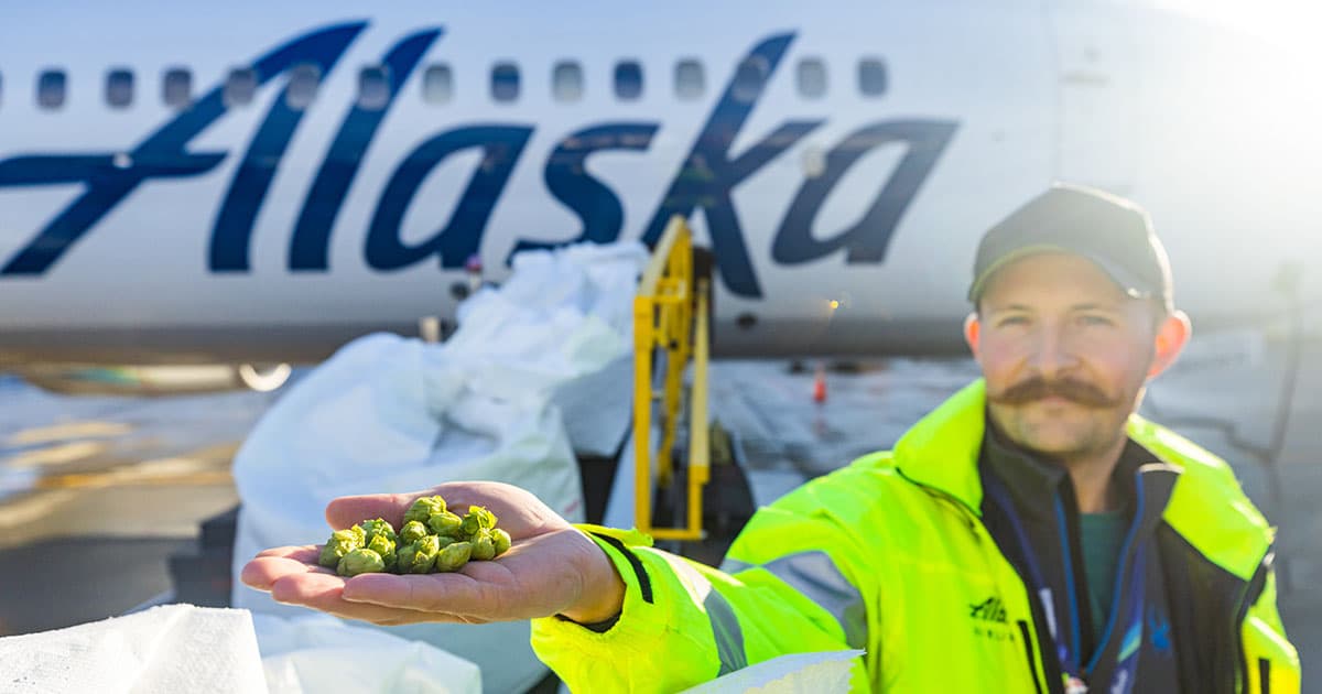 Second “Fresh Hops Fly” collaboration brings flavor of Northwest to Austin, San Diego 