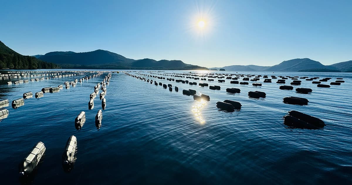 How our freighter network supports a shellfish and seaweed venture aspiring to be sustainable for the long haul