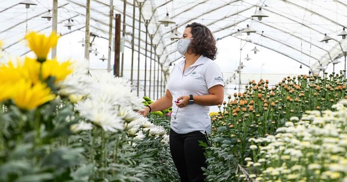 Woman standing in flower greenhouse